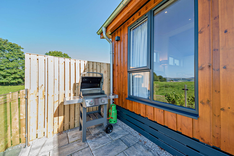 Decking area with barbecue